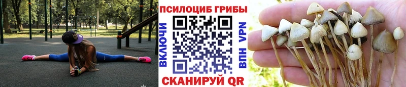 Галлюциногенные грибы MAGIC MUSHROOMS купить наркоту Лянтор